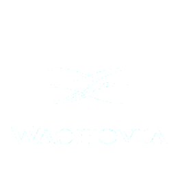 Wachovia Bank